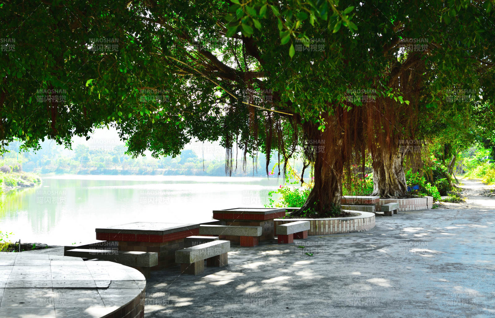 湖畔树荫休闲区图片