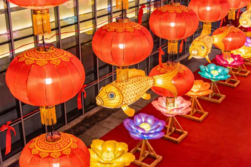 红灯鱼舞迎新春图片