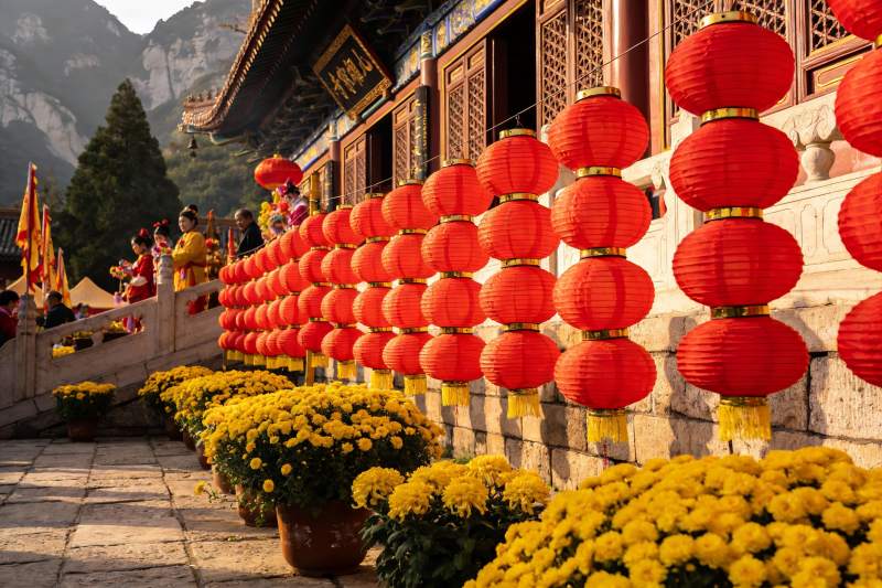 古建筑前红灯笼与黄菊花图片