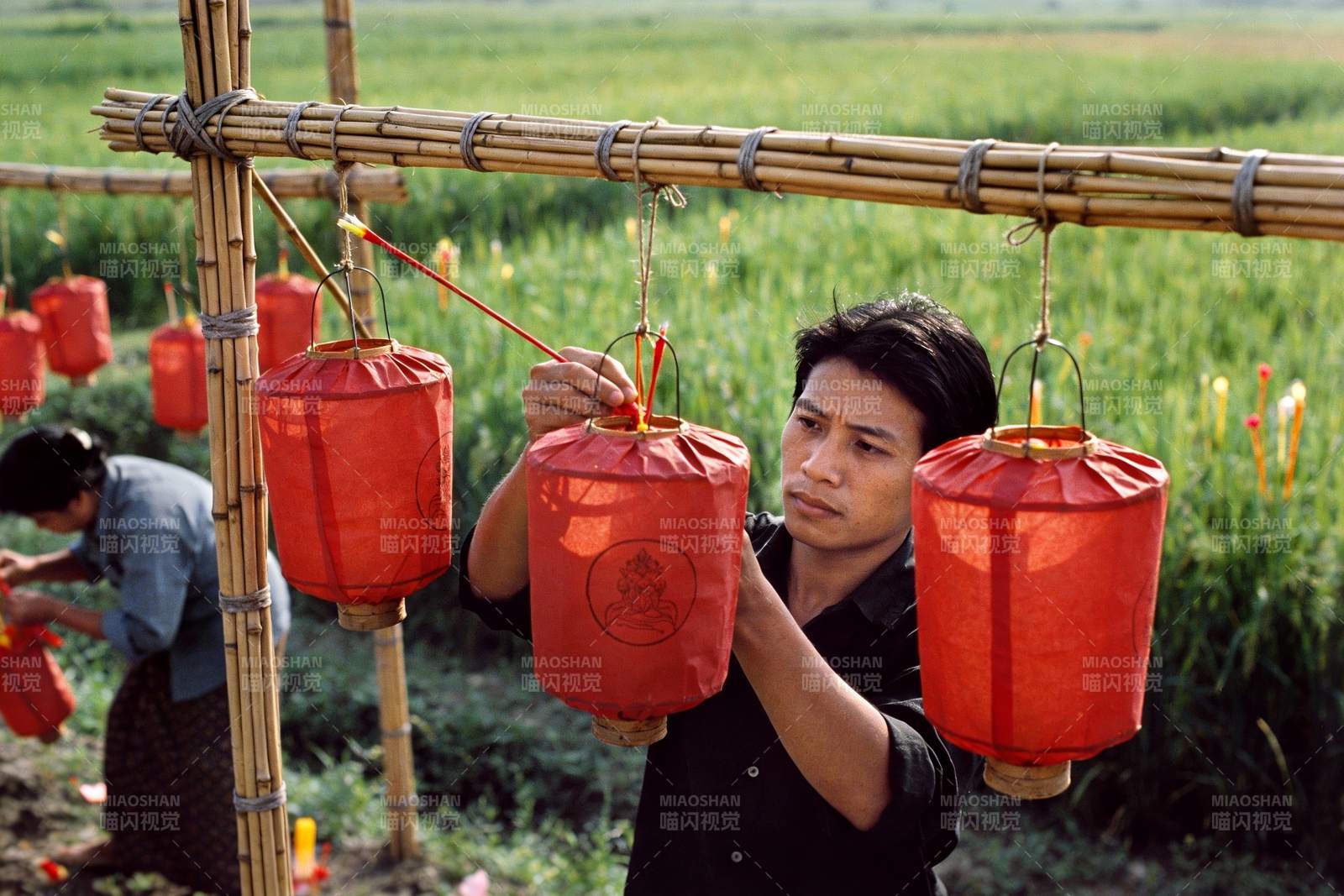 田野中悬挂红灯笼的场景图片