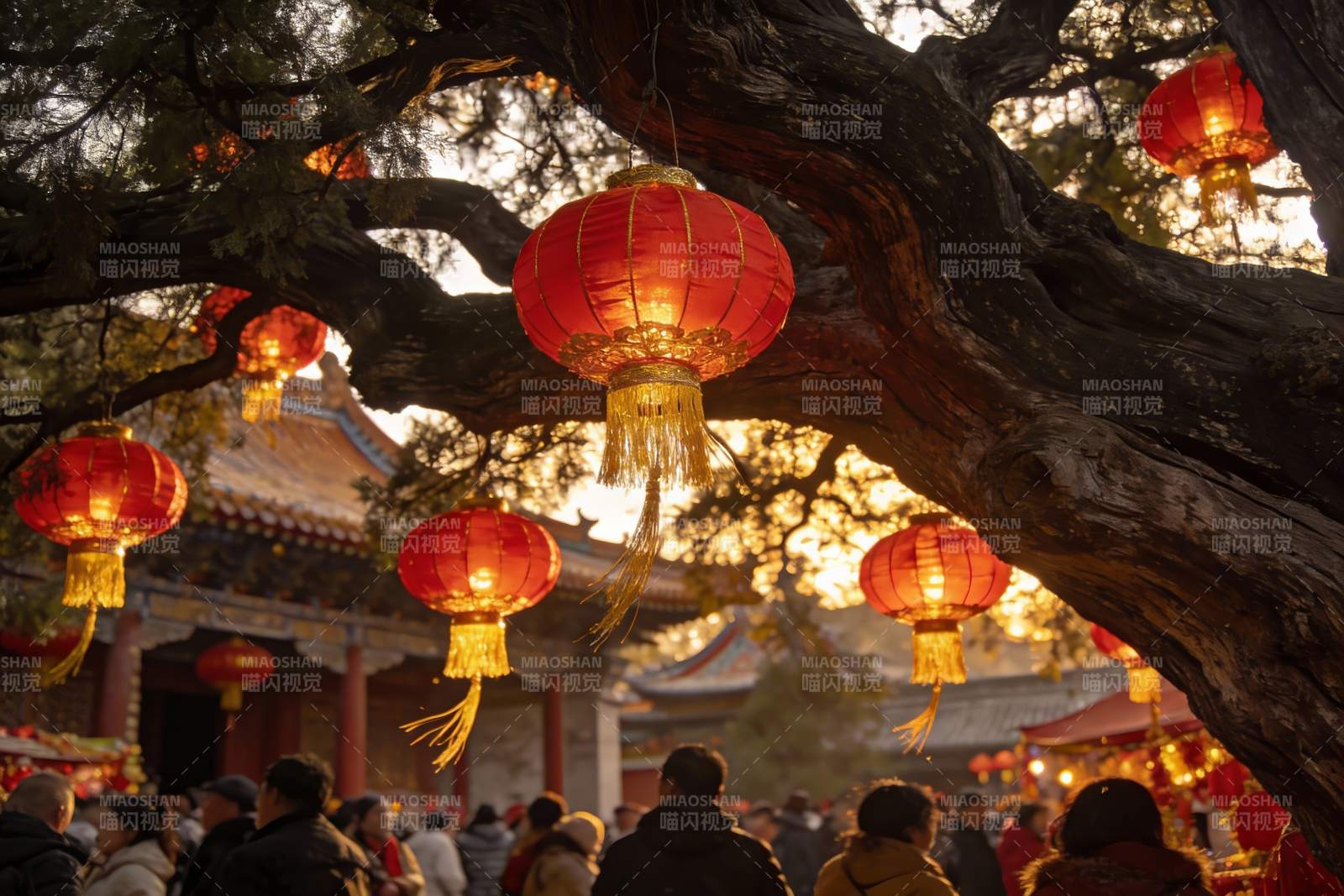 古树红灯笼映衬人群欢聚图片