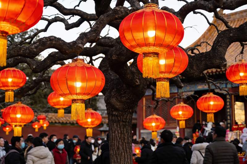 古树红灯笼映衬人群节日氛围图片