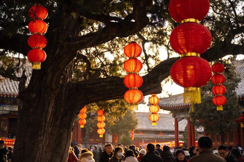 古树红灯笼映衬节日人群图片