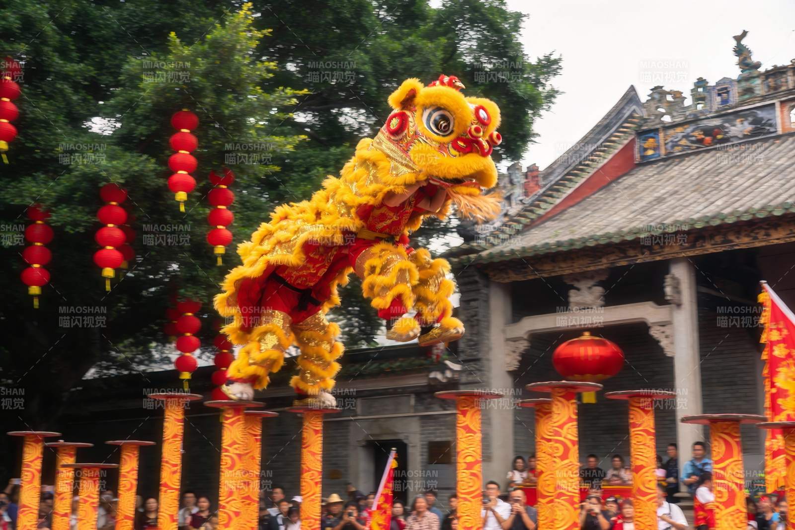 舞狮表演热闹非凡图片