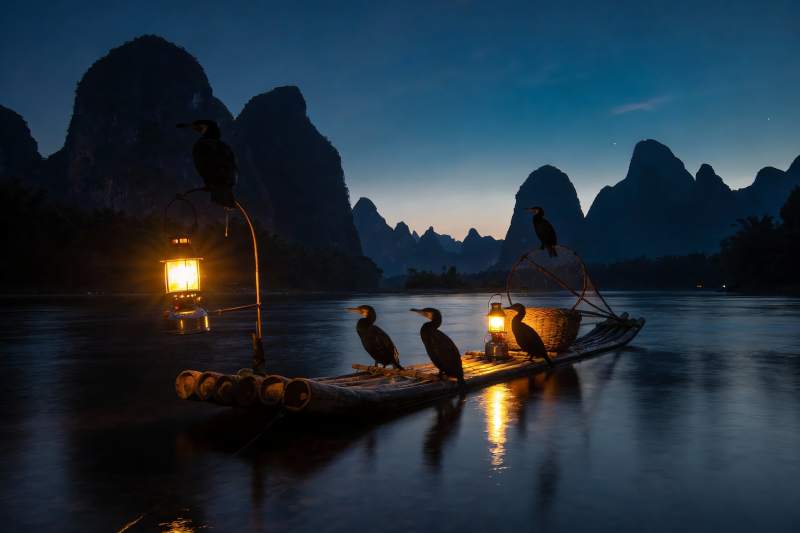 夜色江上鸬鹚栖息竹筏图片