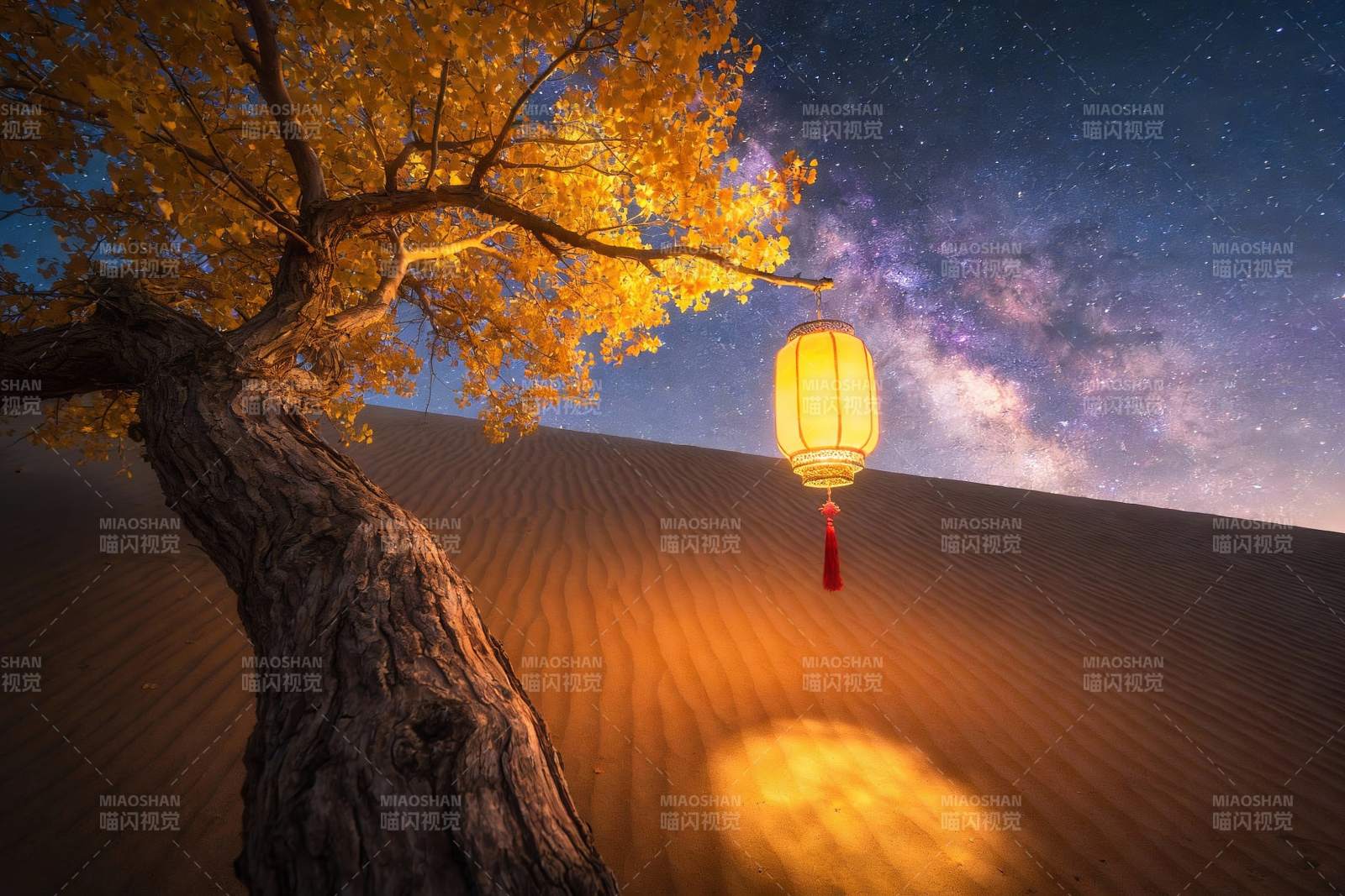沙漠夜空树灯奇景图片