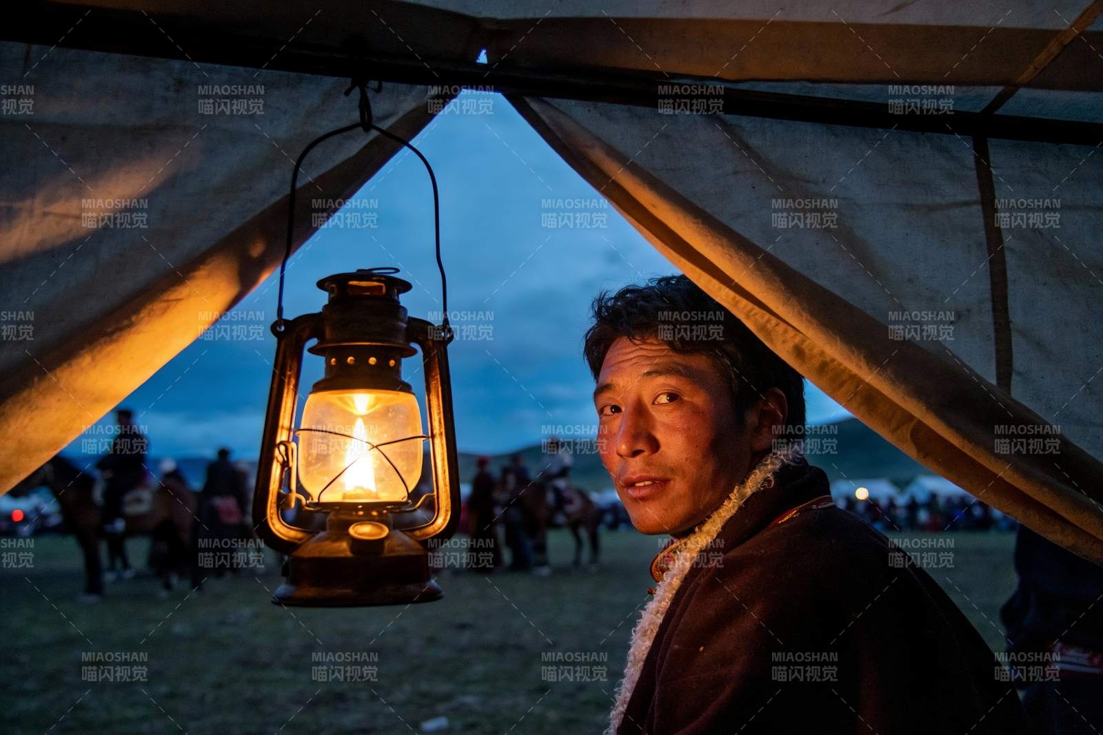 帐篷内灯光下的人与马群图片