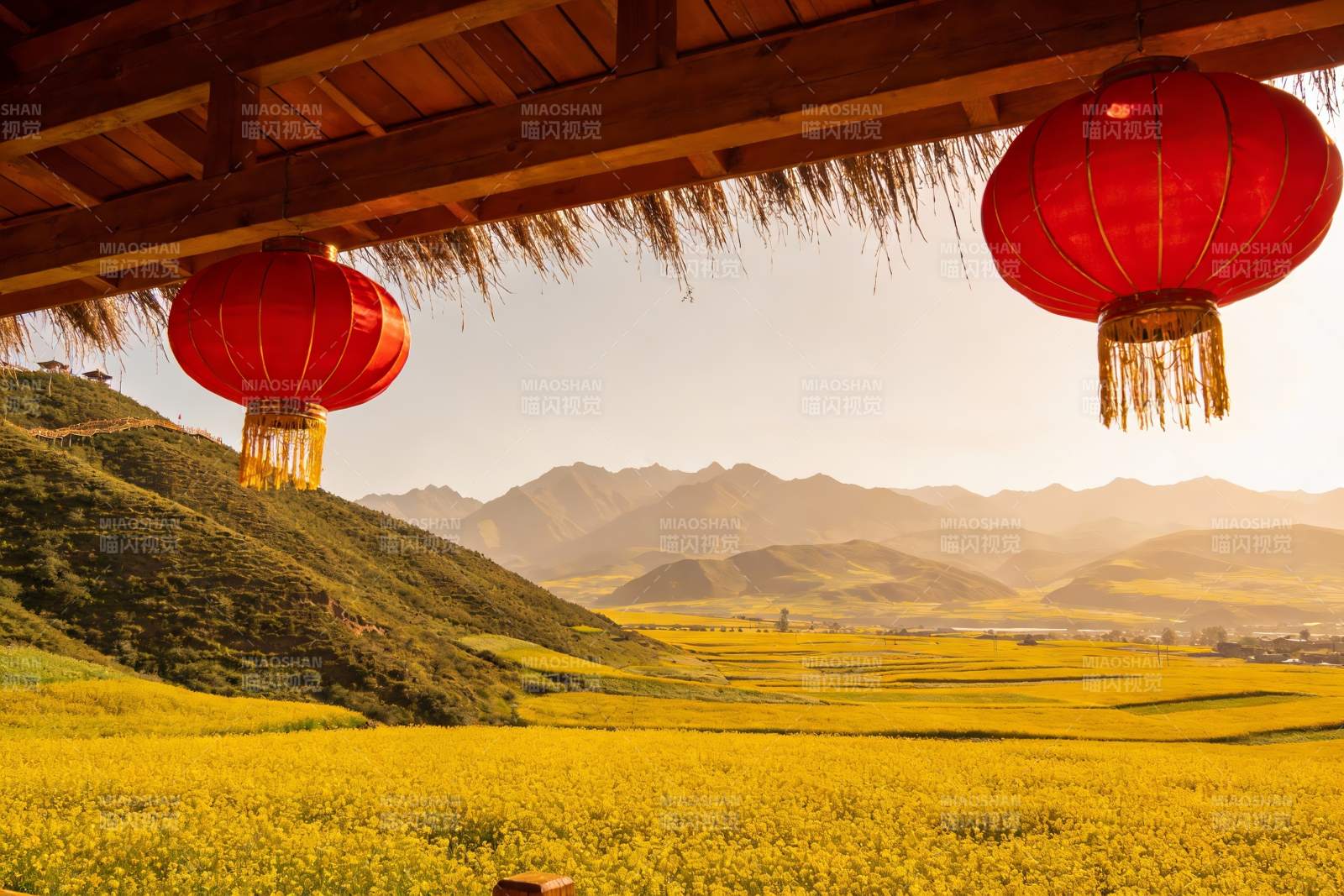 金黄花海与红灯笼图片