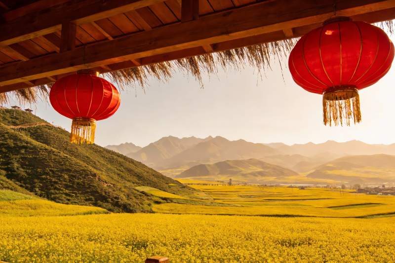金黄花海与红灯笼图片