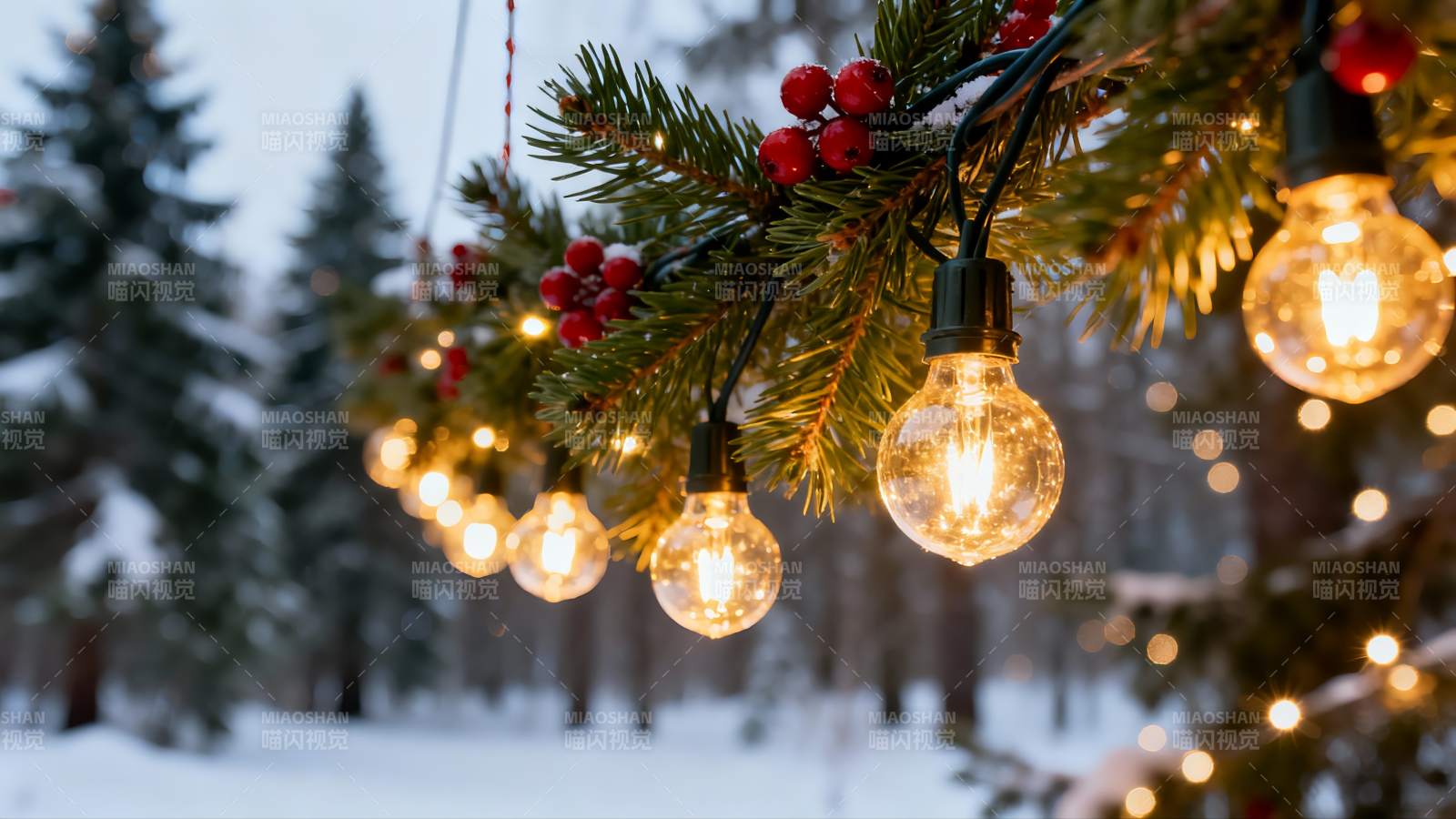 雪夜松枝挂灯泡图片