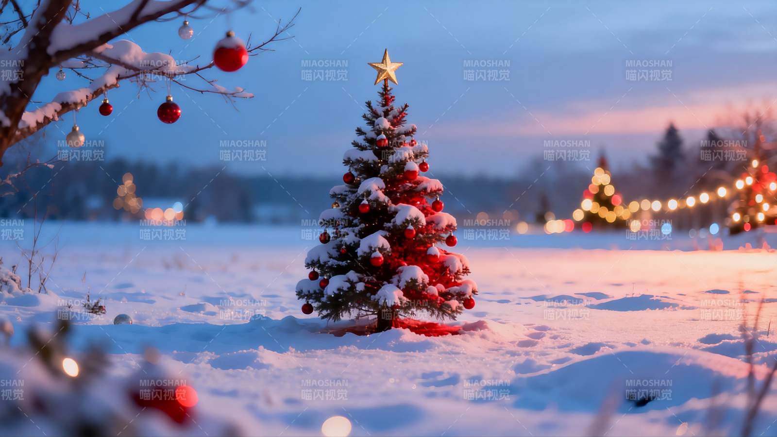 雪地圣诞树夜景图片