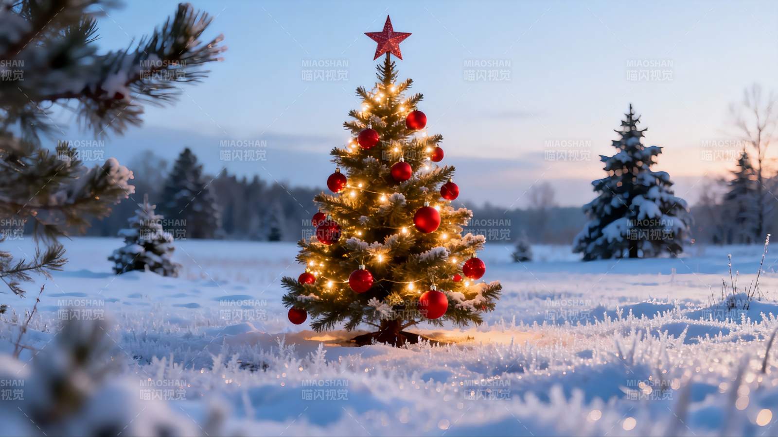 雪地圣诞树夜景图片