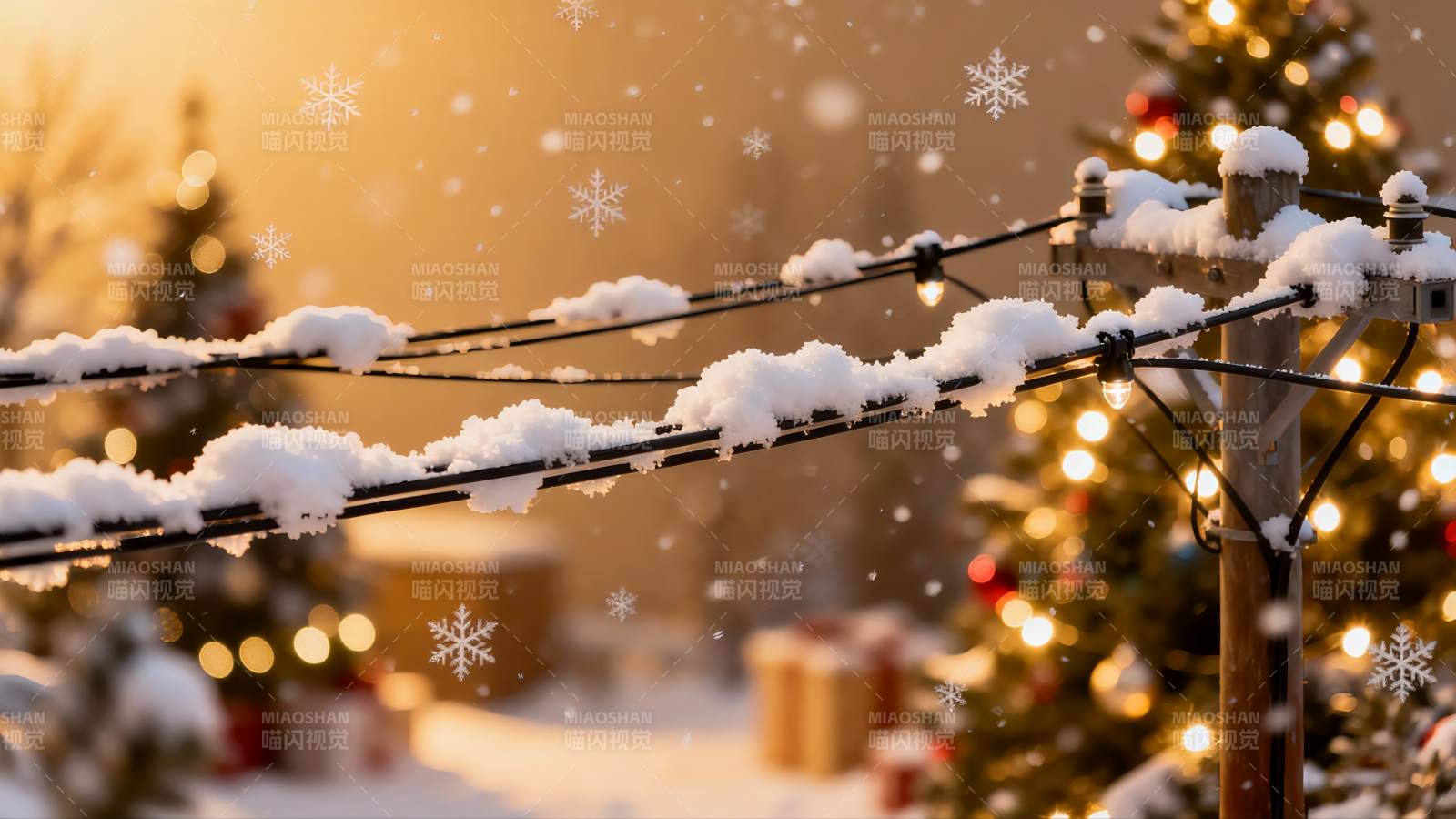 雪夜圣诞树与电线图片