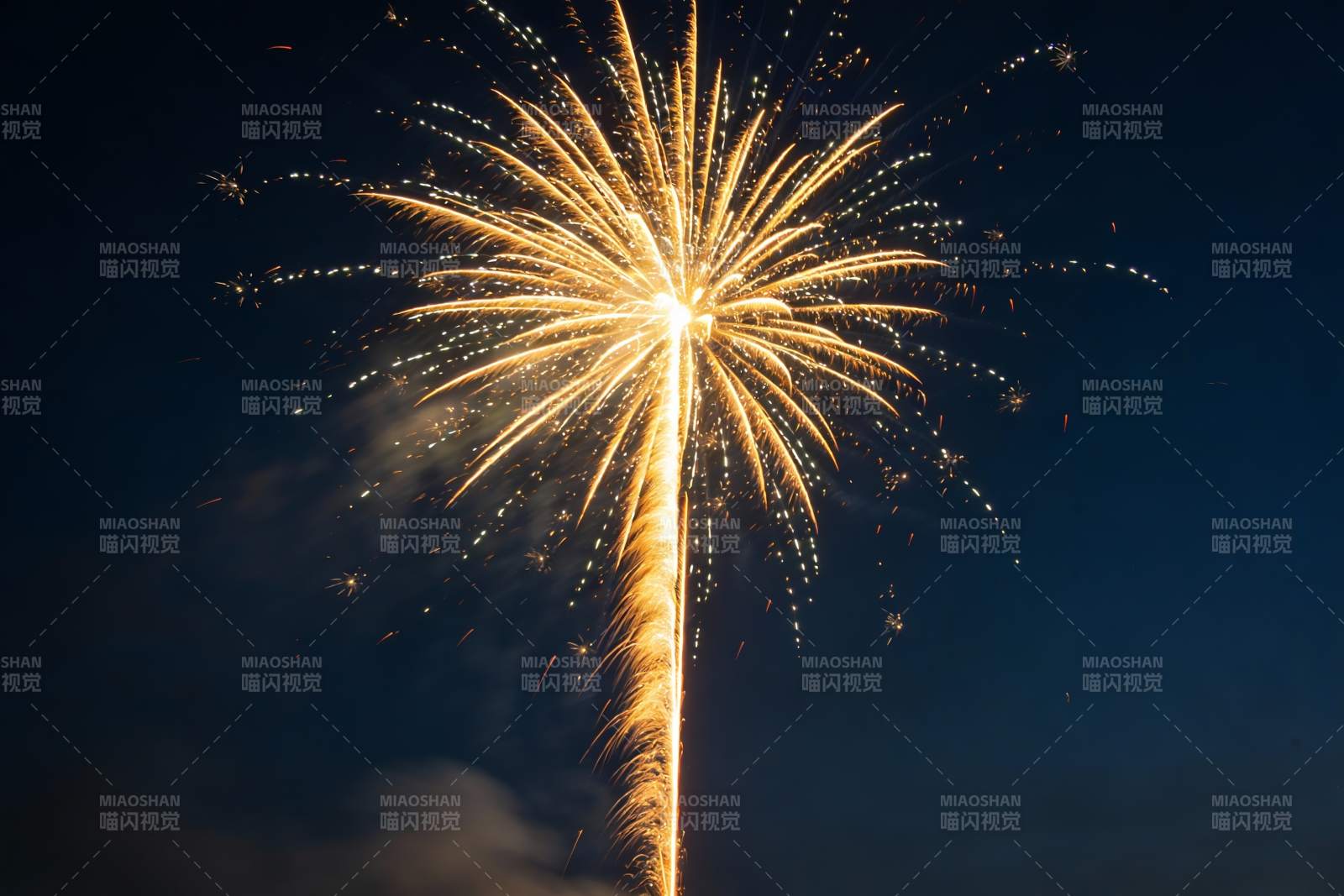 夜空烟花绽放绚丽瞬间图片