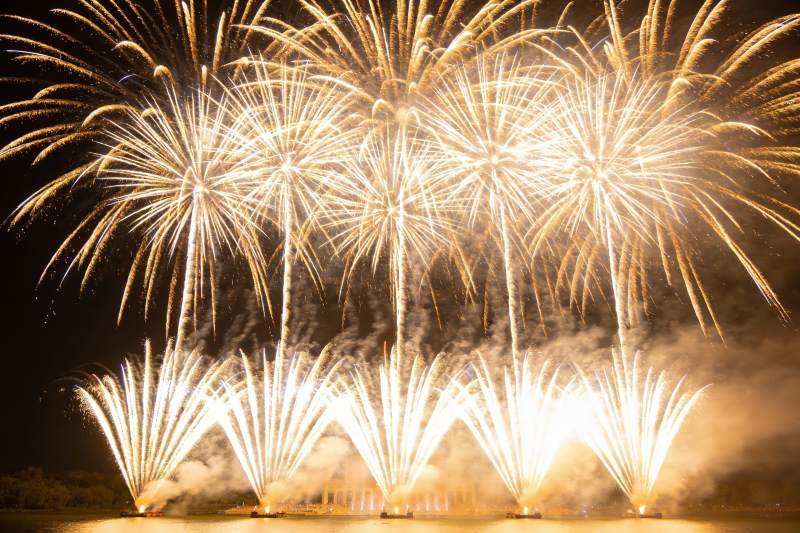 夜空烟花绽放绚丽景象图片