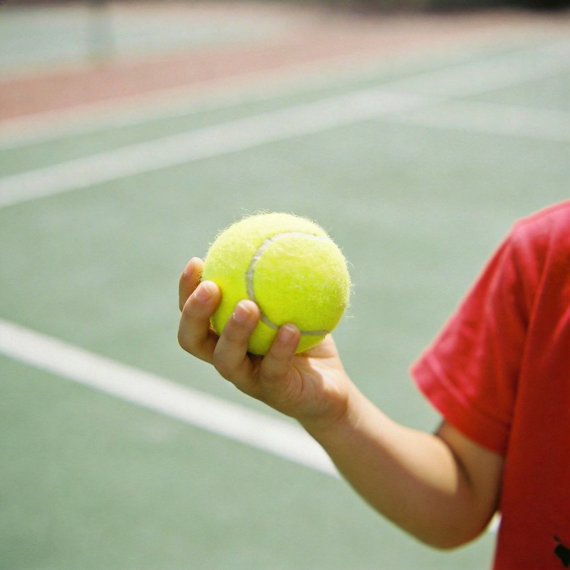 手握网球 准备发球图片