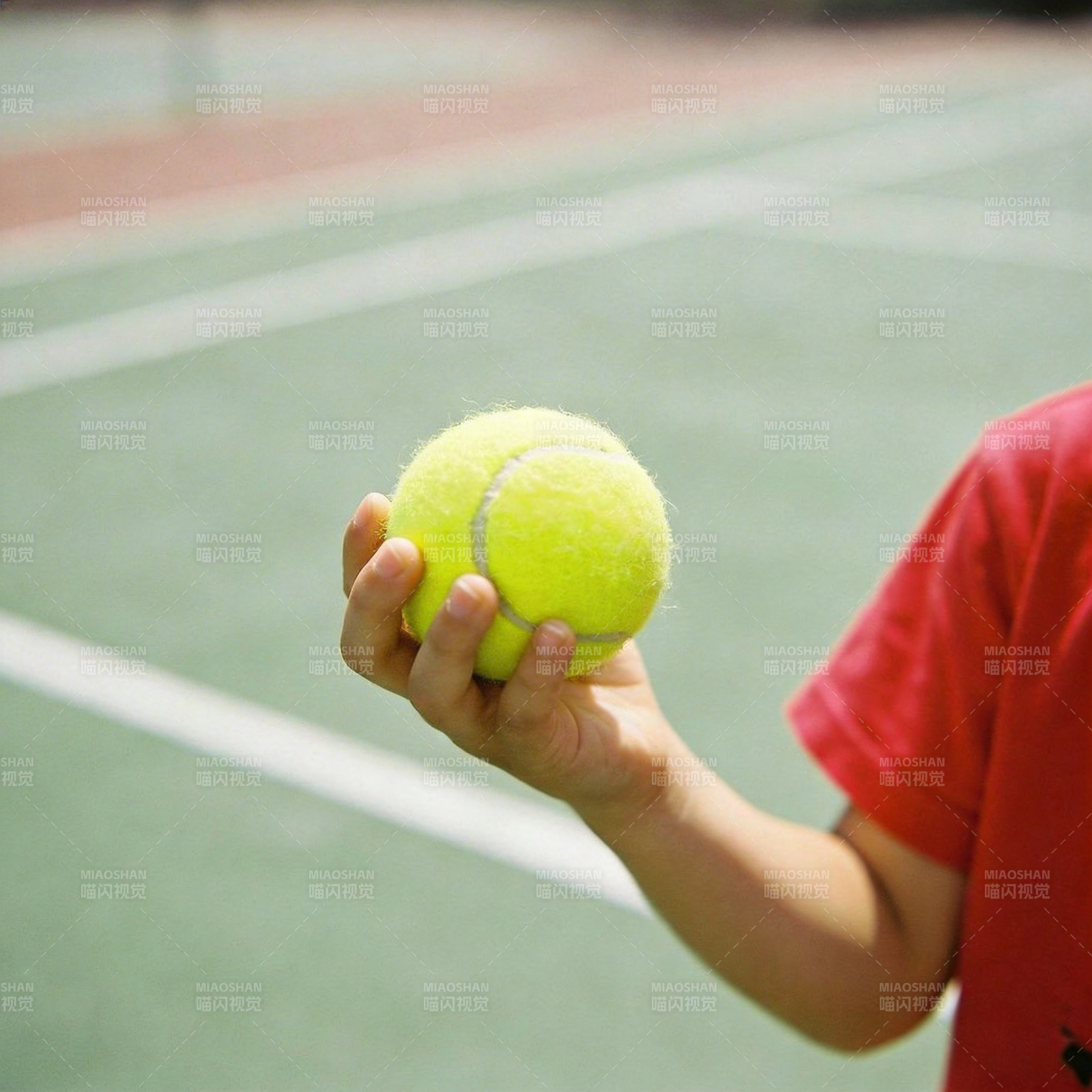手握网球 准备发球图片