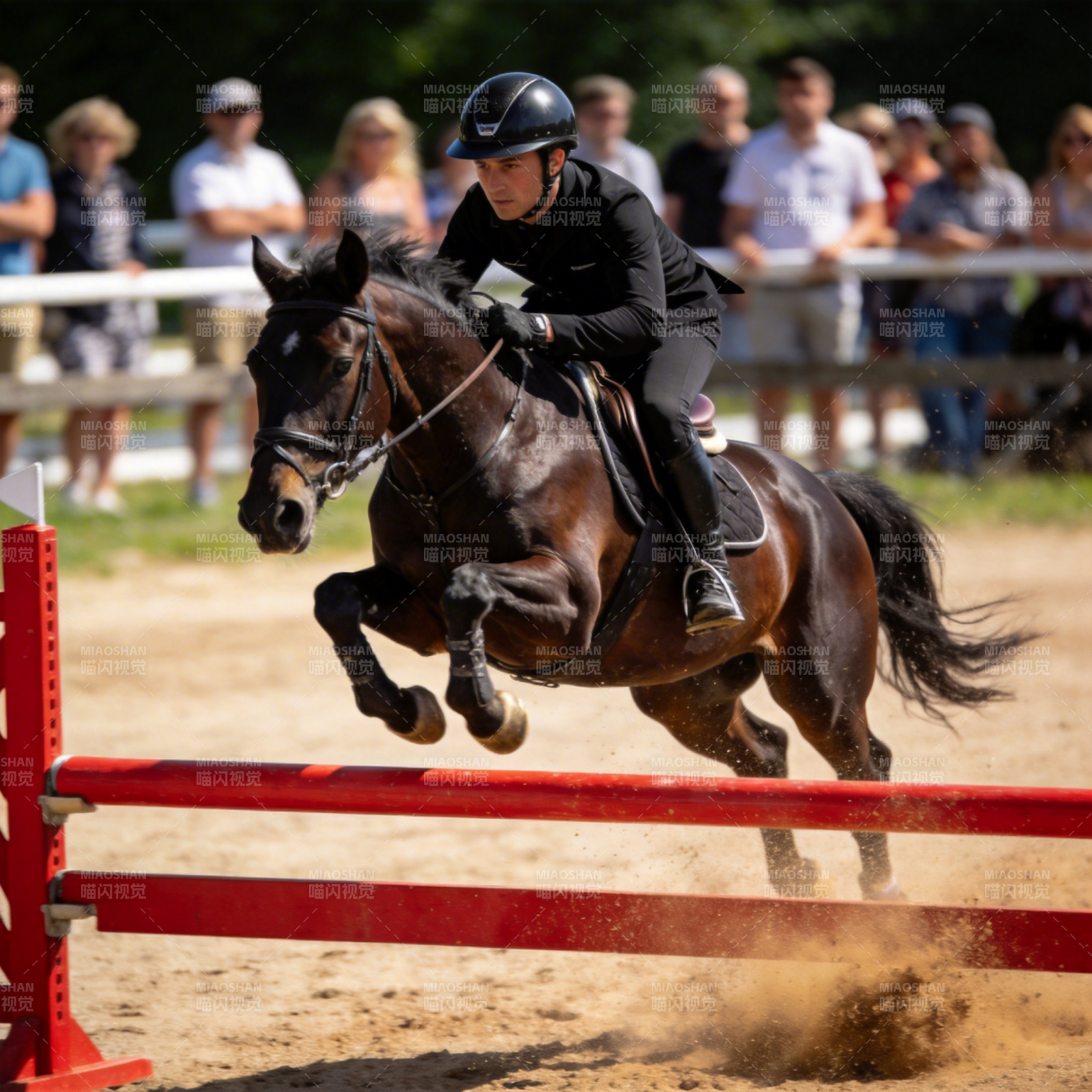 骏马飞跃障碍图片