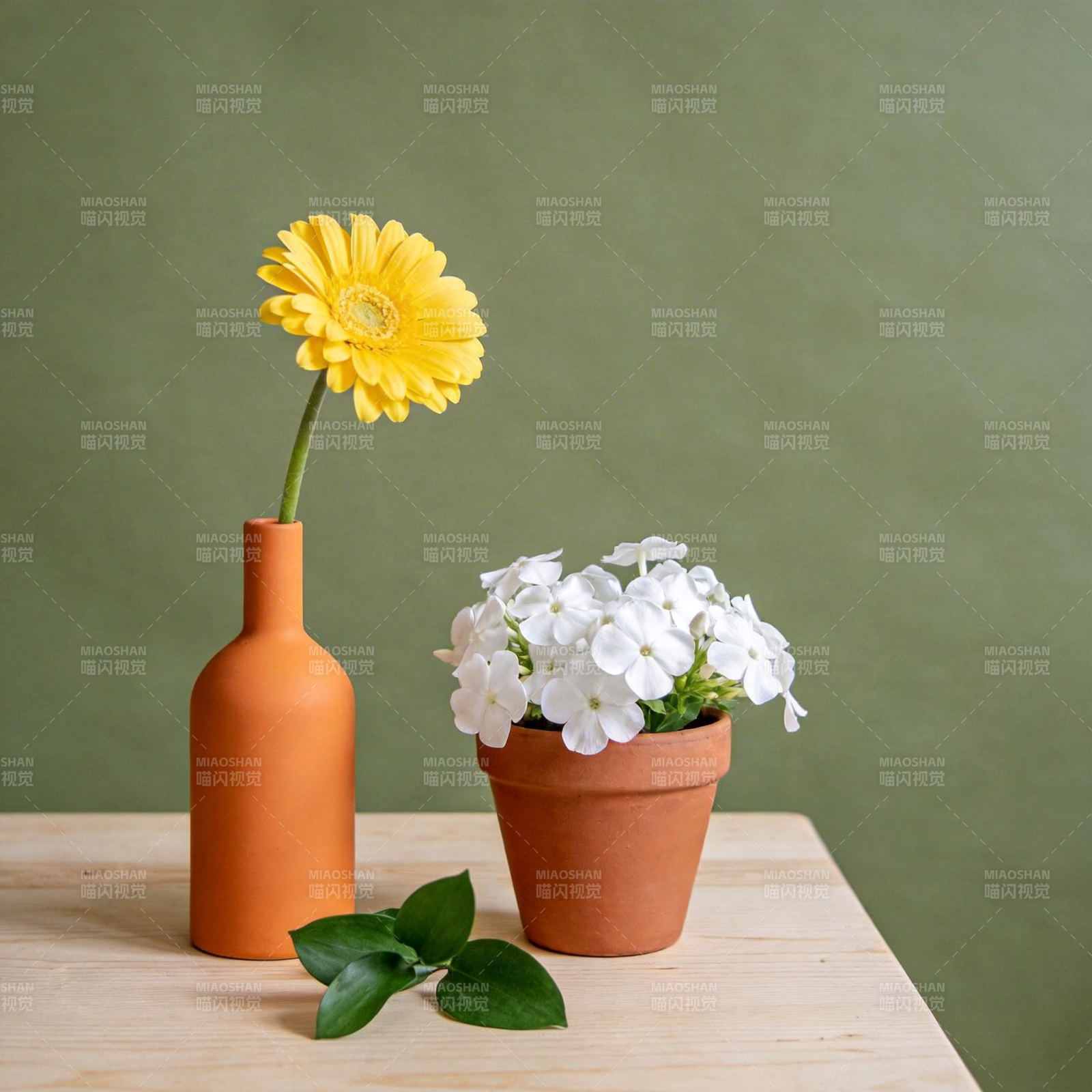 花瓶与盆栽静物图片