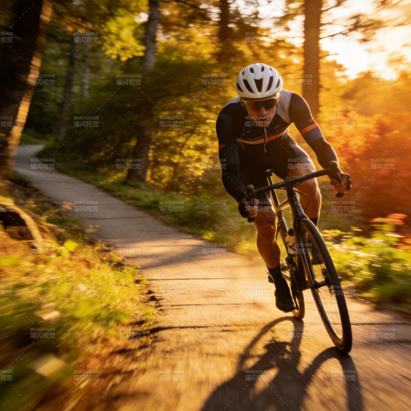 林间骑行 光影飞驰图片