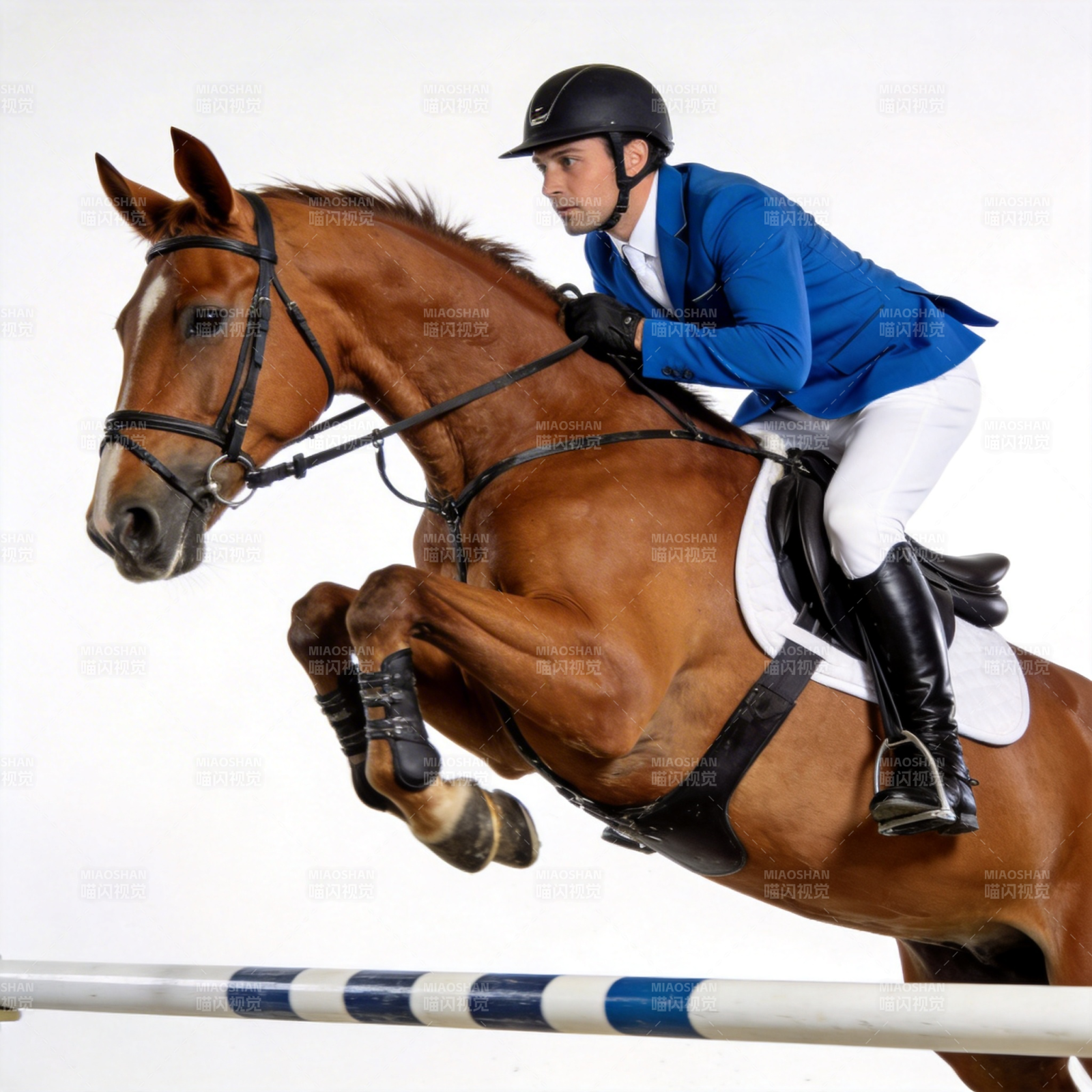 骏马飞跃障碍图片