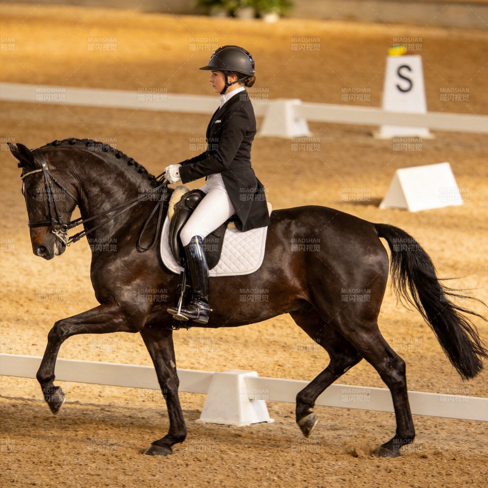 马术优雅瞬间图片