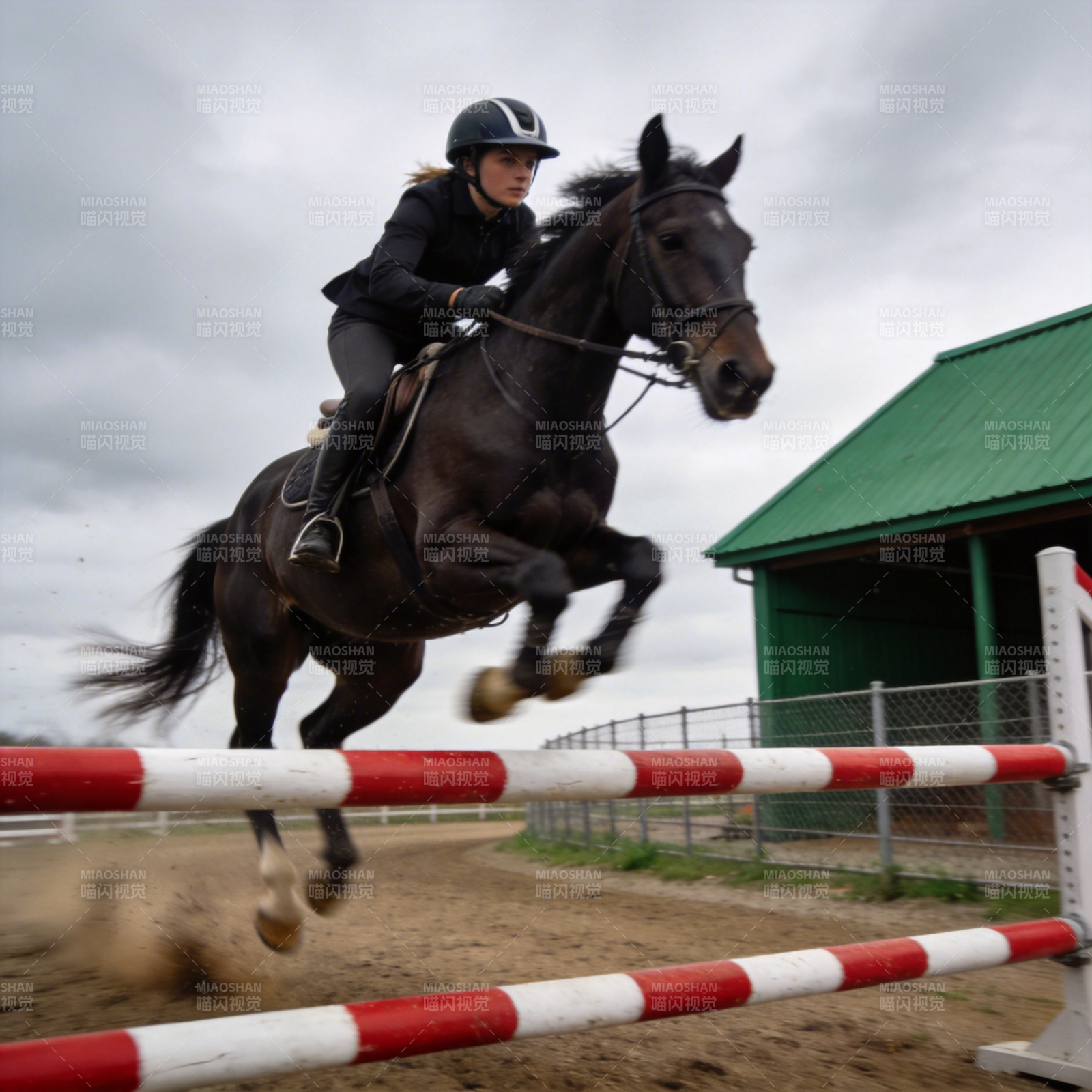 骏马飞跃障碍图片