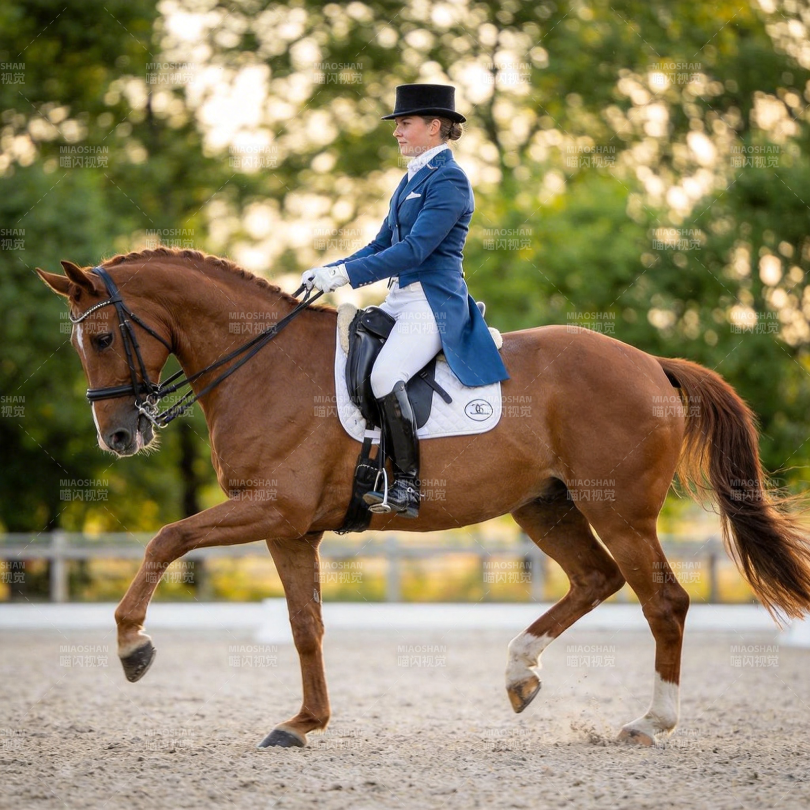 马术优雅瞬间图片