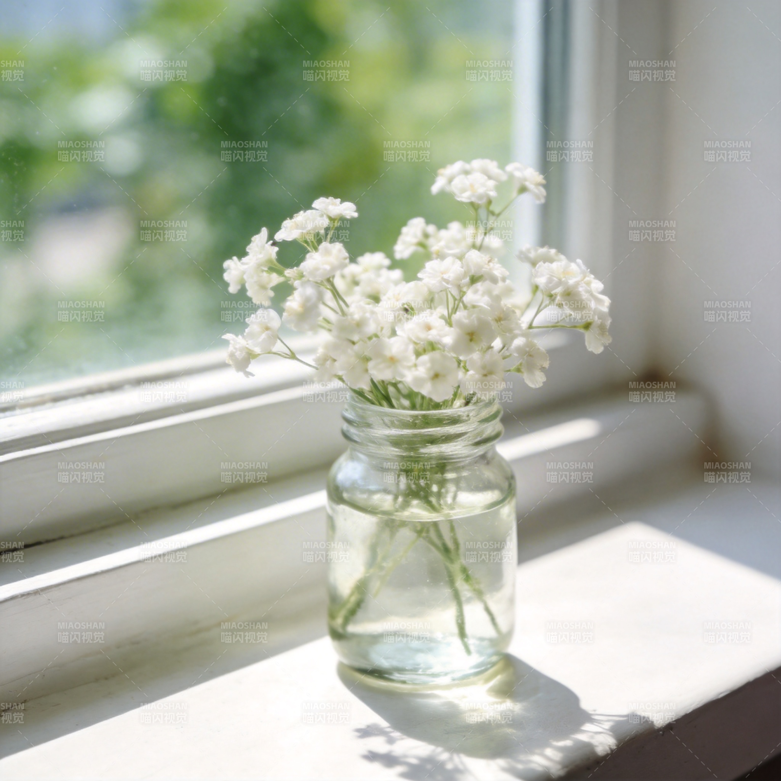 窗台上的小白花图片