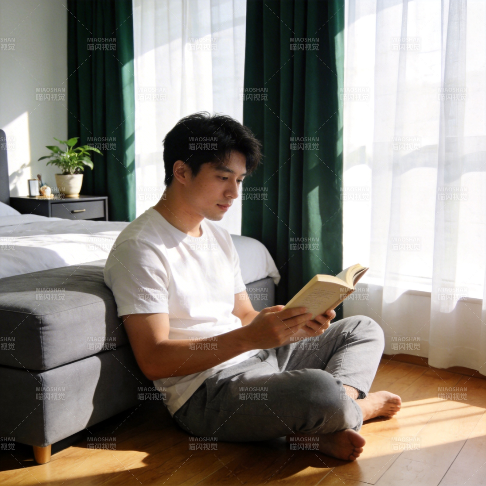 阳光下静读时光图片