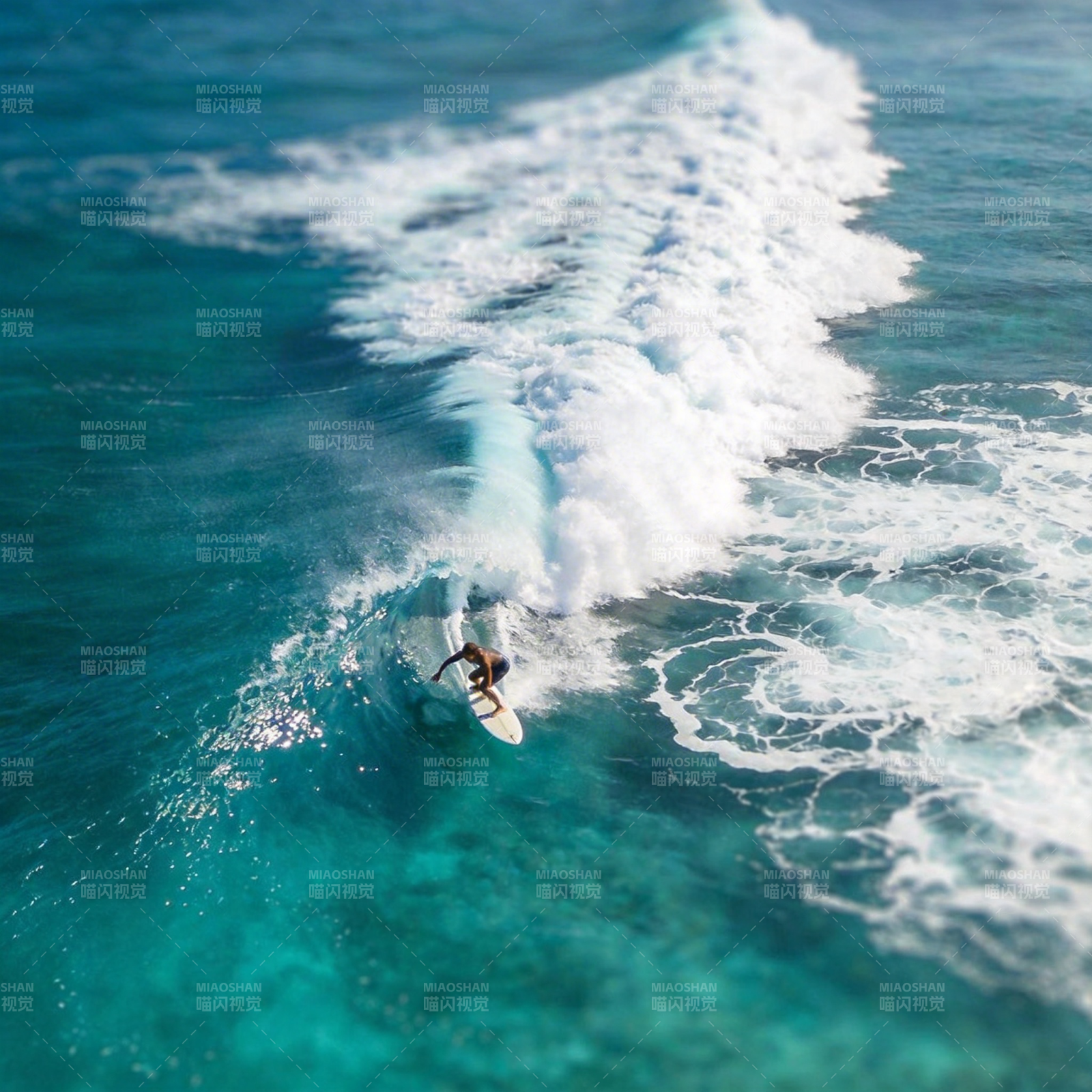冲浪者乘风破浪图片
