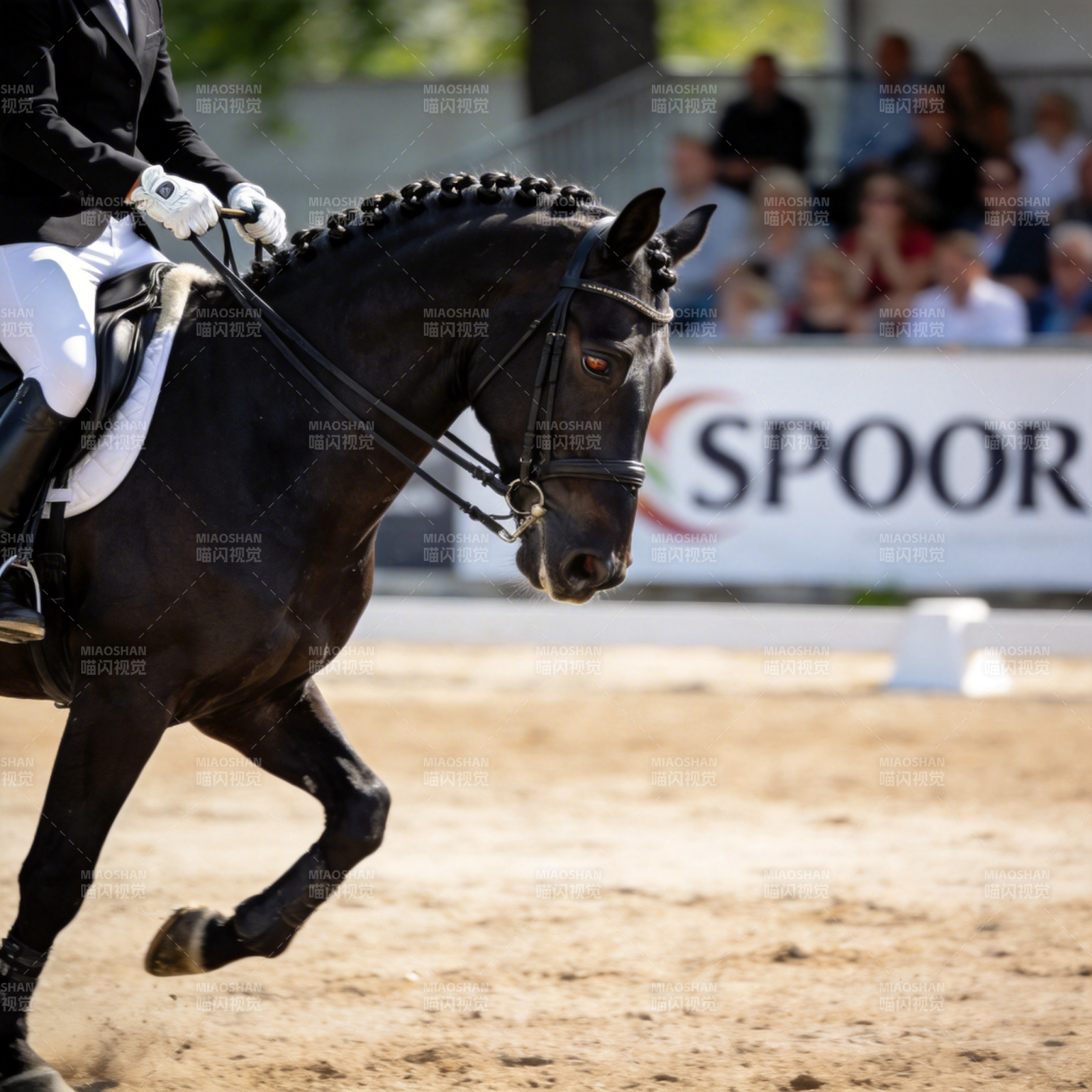 马术比赛精彩瞬间图片