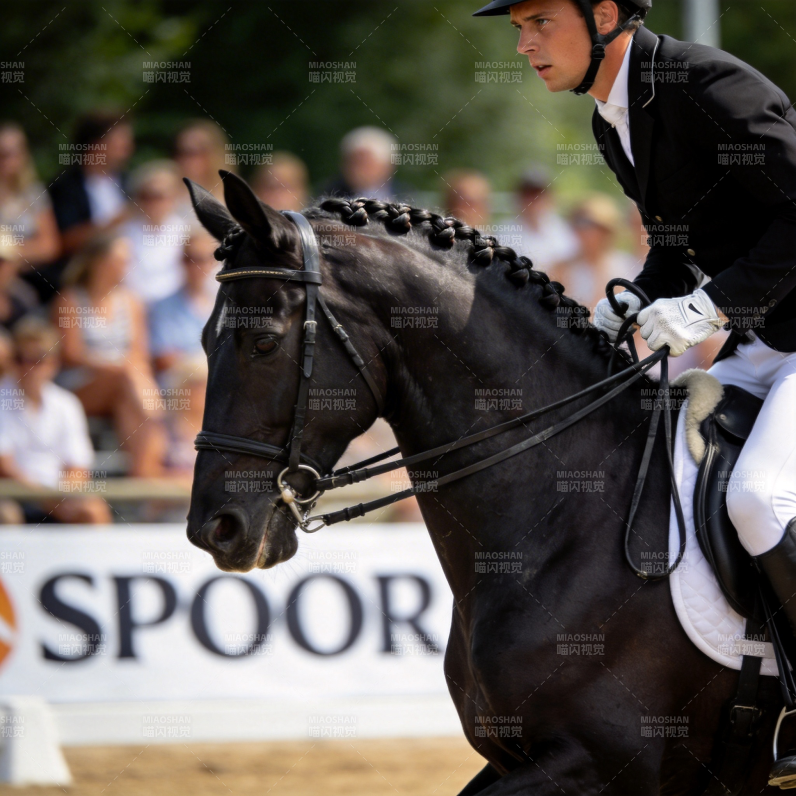 马术竞技瞬间图片