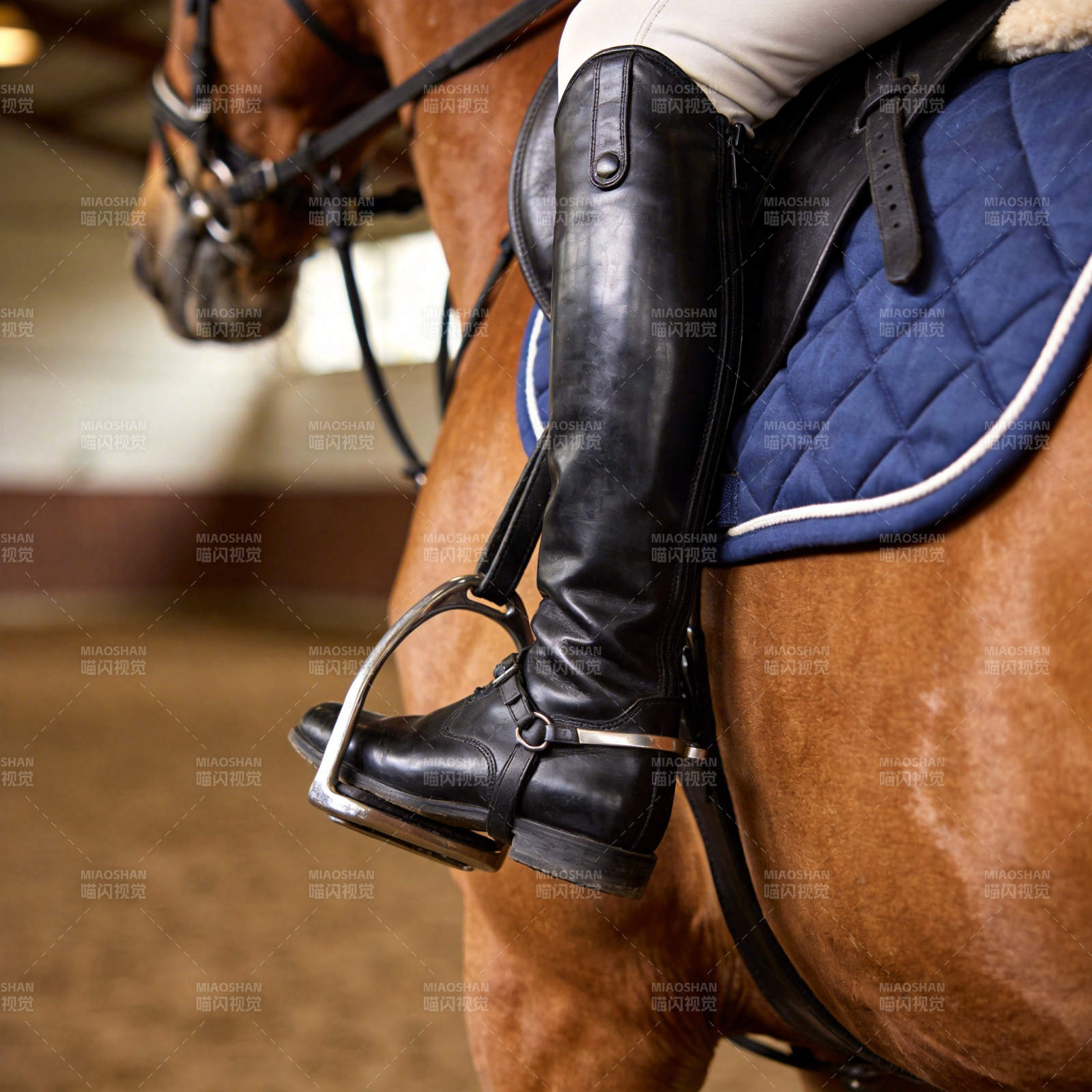 骑马者与骏马的瞬间图片