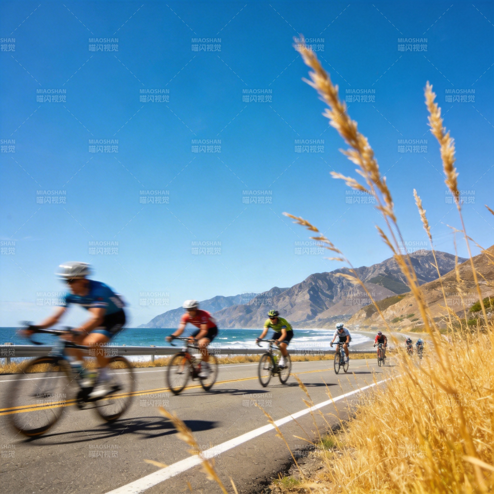 海边骑行风景线图片
