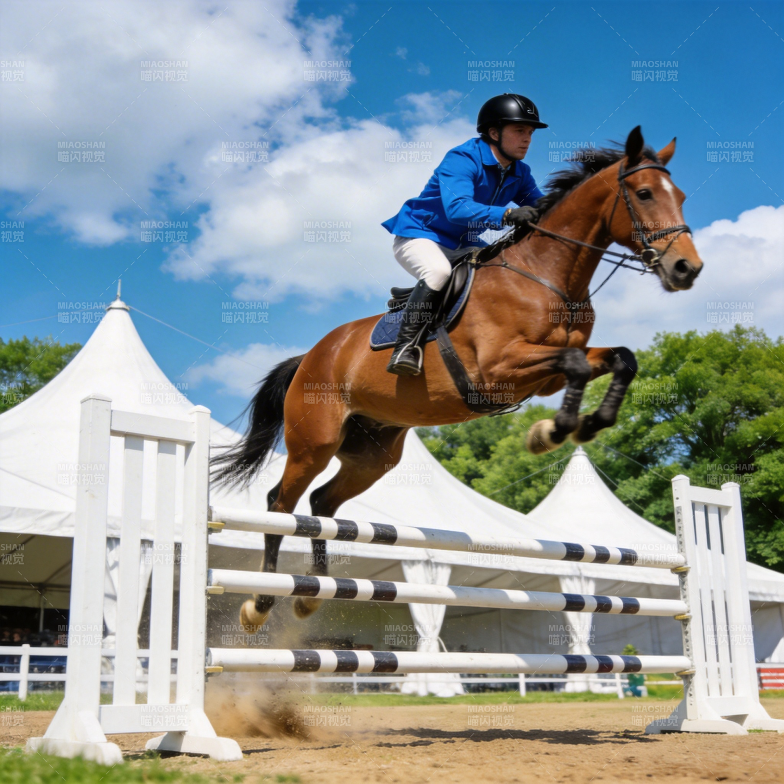 飞跃障碍 马术精彩瞬间图片