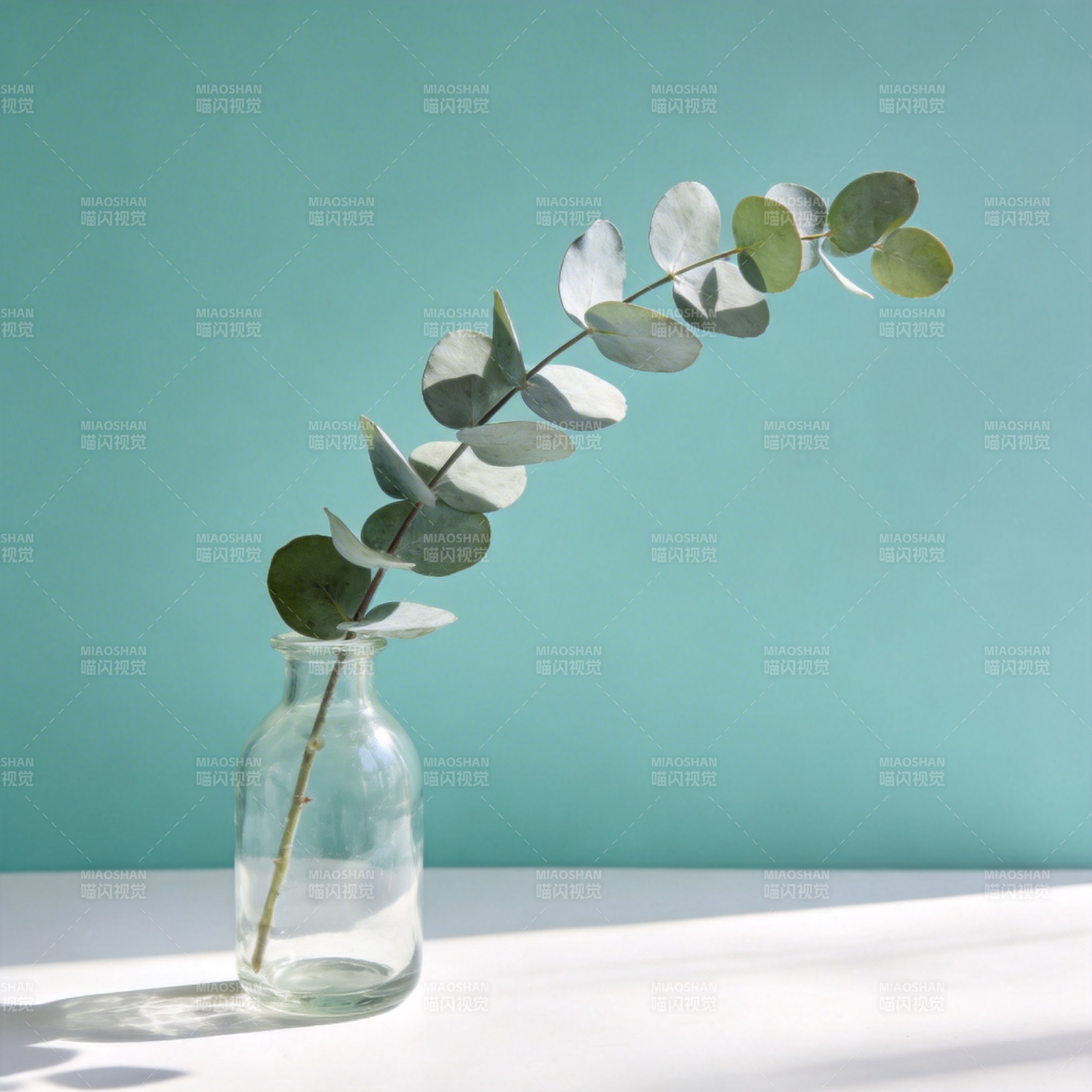 绿叶静置瓶中图片