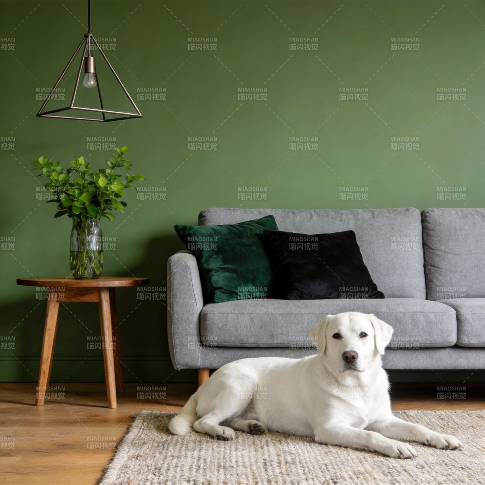 温馨家居与萌犬图片