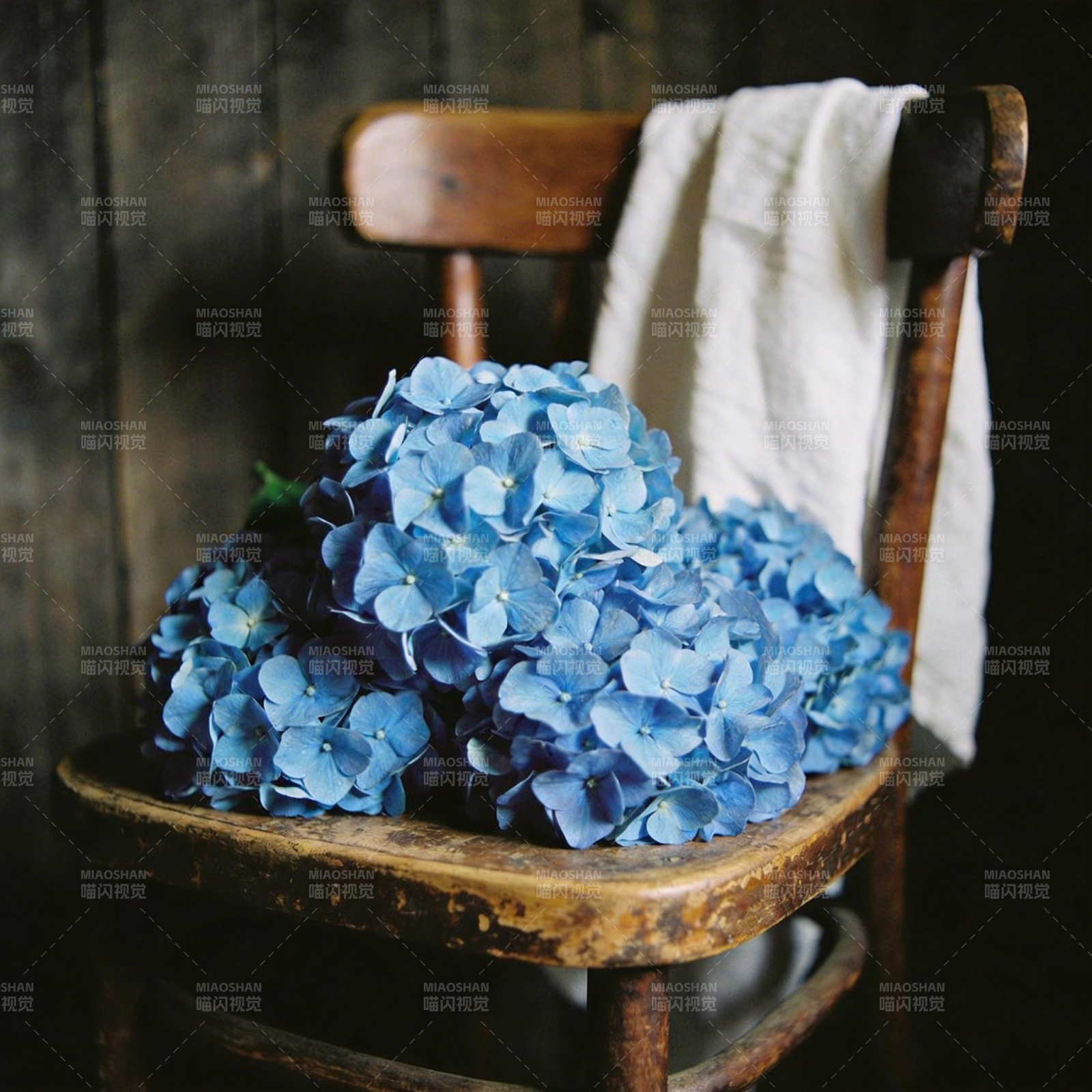 蓝绣球静置木椅图片