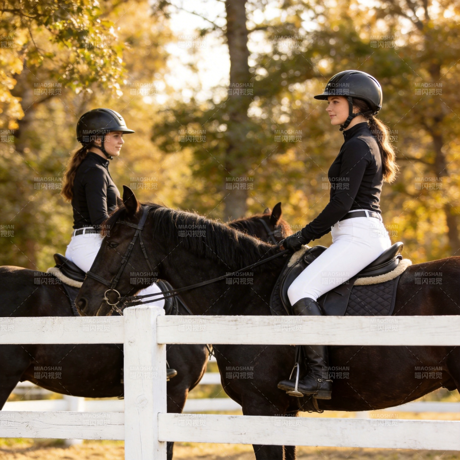 骑手与马共舞秋光图片