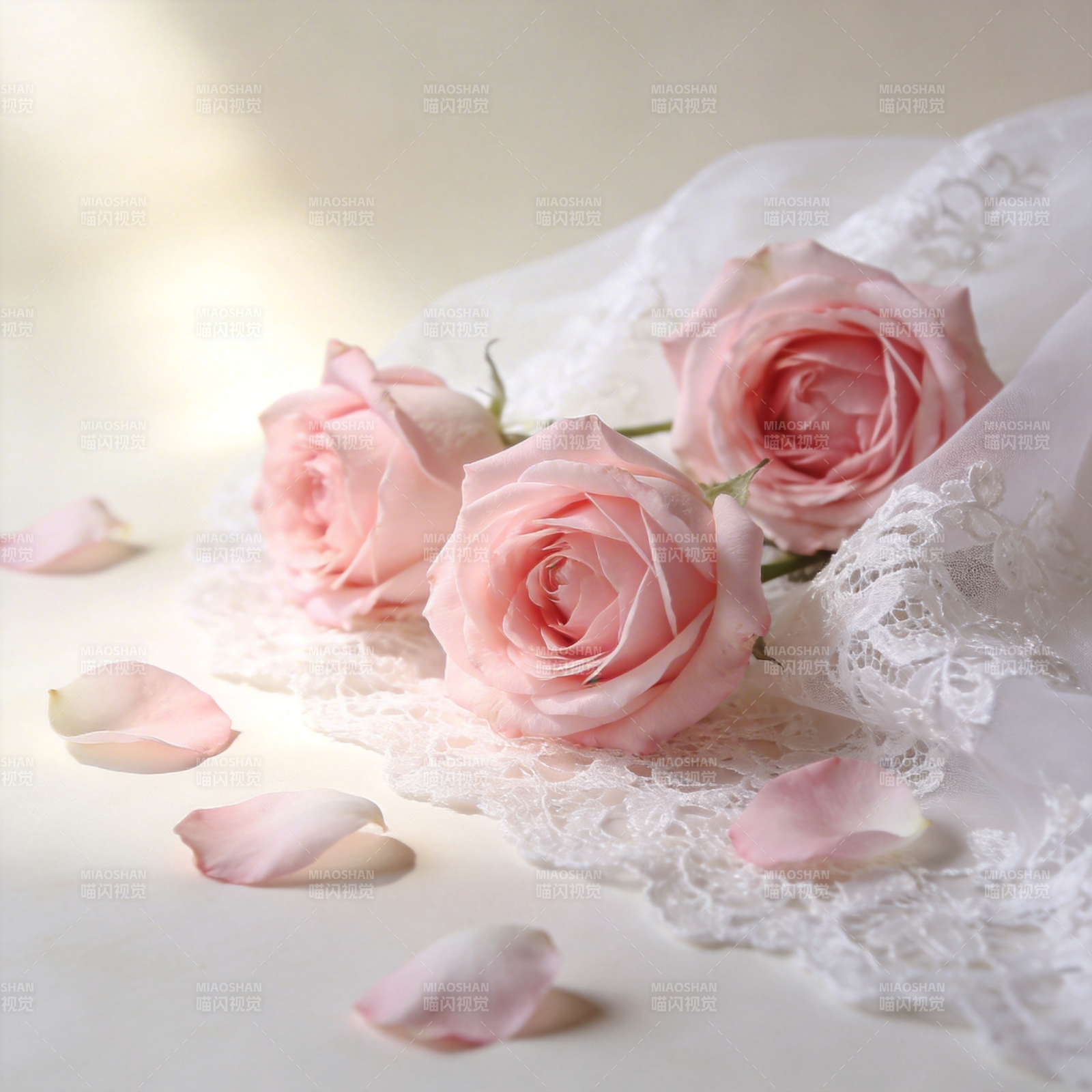 粉玫瑰与蕾丝图片