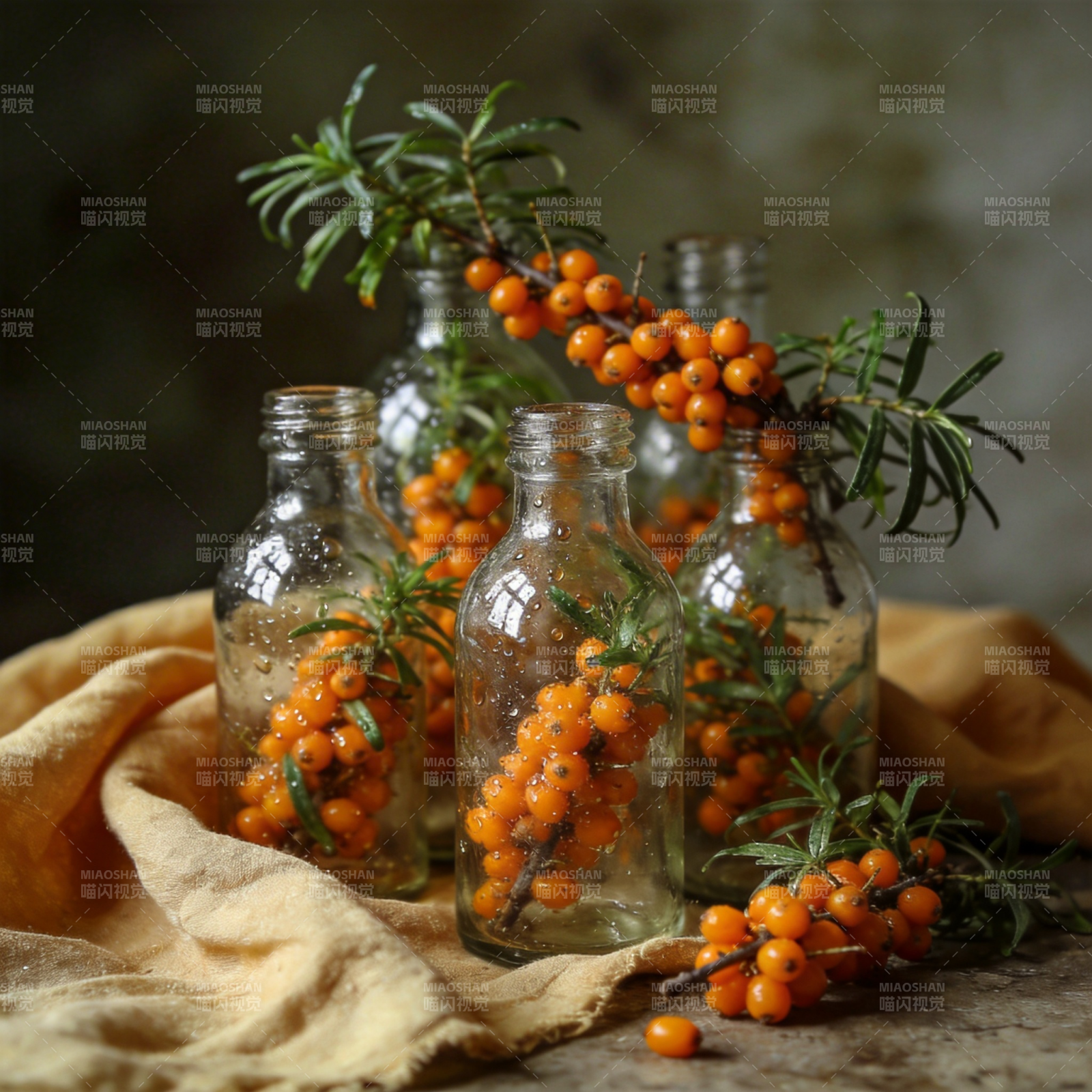 沙棘果瓶景图片