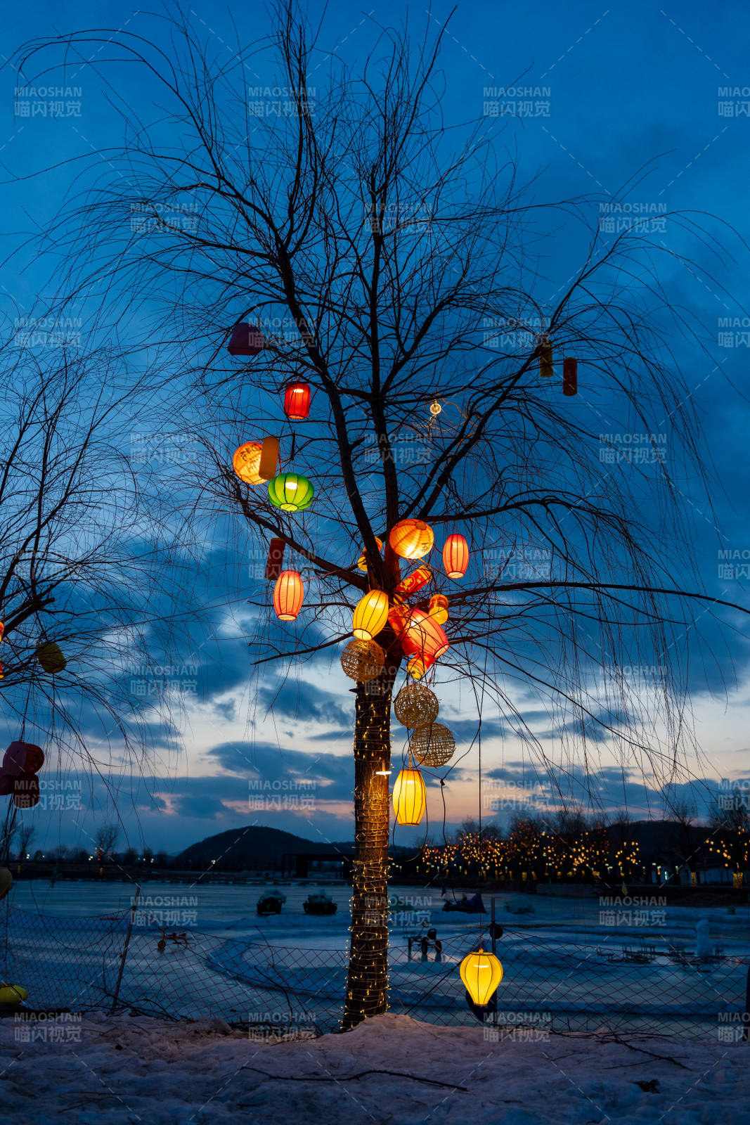 灯树映雪夜图片