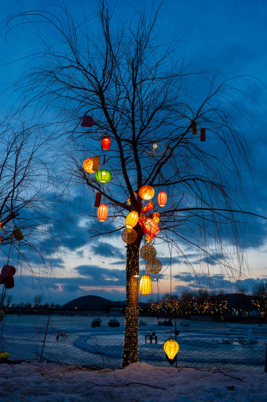 灯树映雪夜图片