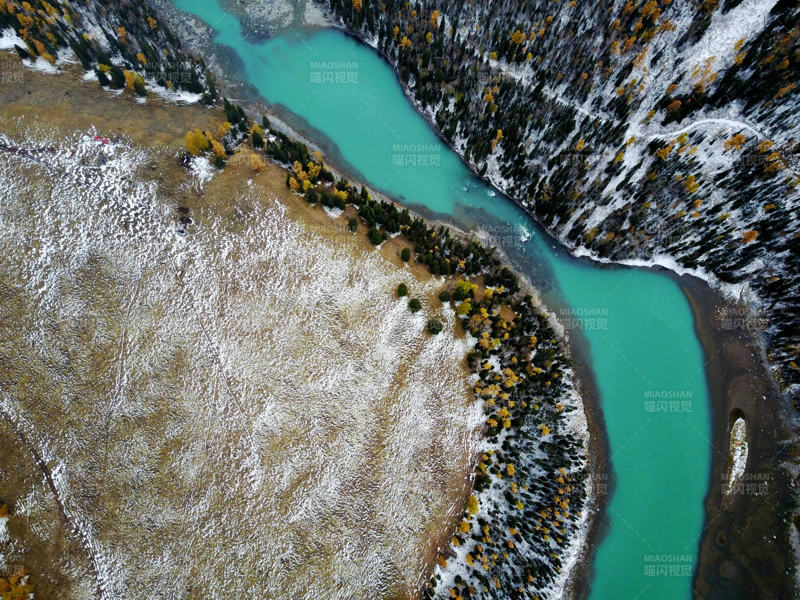 喀纳斯碧水穿林雪原图片