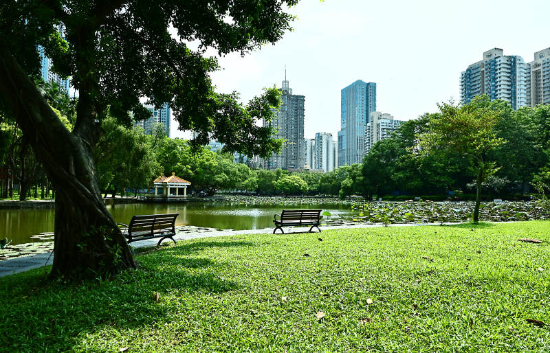 现代城市公园的绿色角落图片