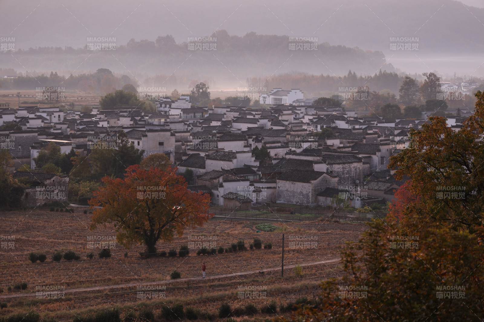 晨雾中的古村落图片