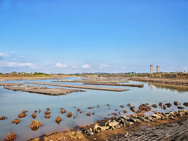 钦州海边风光图片