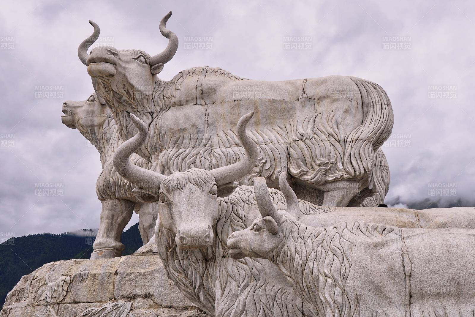 西藏林芝城市牛群石雕图片