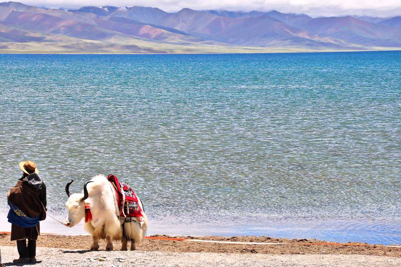 西藏那木措湖畔风光图片